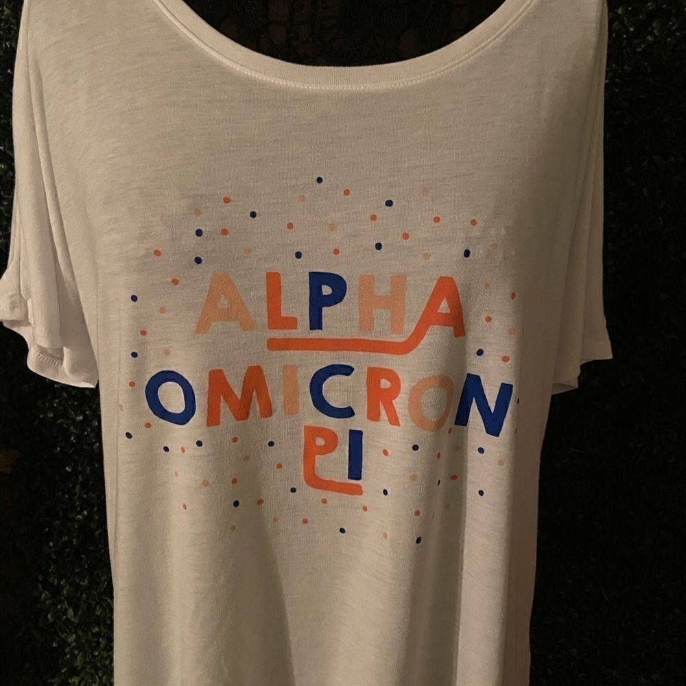 Alpha Omicron Pi Sorority Bella Canvas T-shirt L
